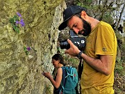 Primula albenensis (Primula del Monte Alben) – 12magg22-FOTOGALLERY